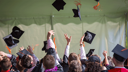 德语真的很简单吗?