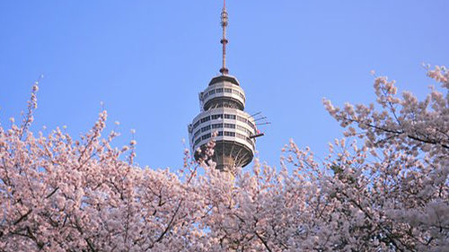 用德语如何委婉地打扰别人？