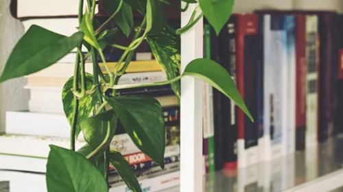 韩语考级培训哪家强?TOPIK考级不用愁!