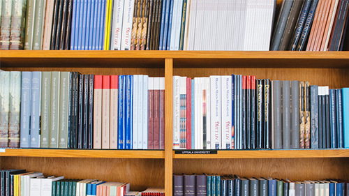 北京学意大利语去哪里?意大利语中那些宛如双胞胎一样的单词