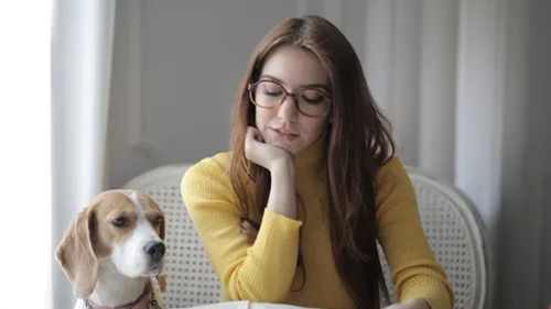 北京学习法语去哪里?如何把法语说得更地道?